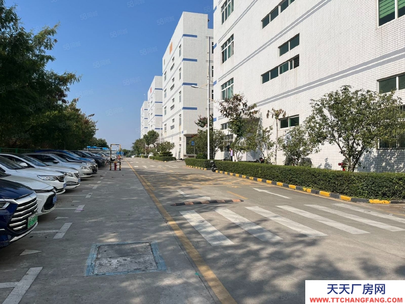 (出租) 深圳西丽2楼500至整层2395平精装修厂房出租仓库出租!低价!