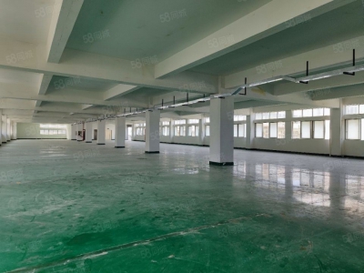 (出租) 深圳西丽独栋9420平方可分租低价厂房出租带卸货平台适合办公研发图4