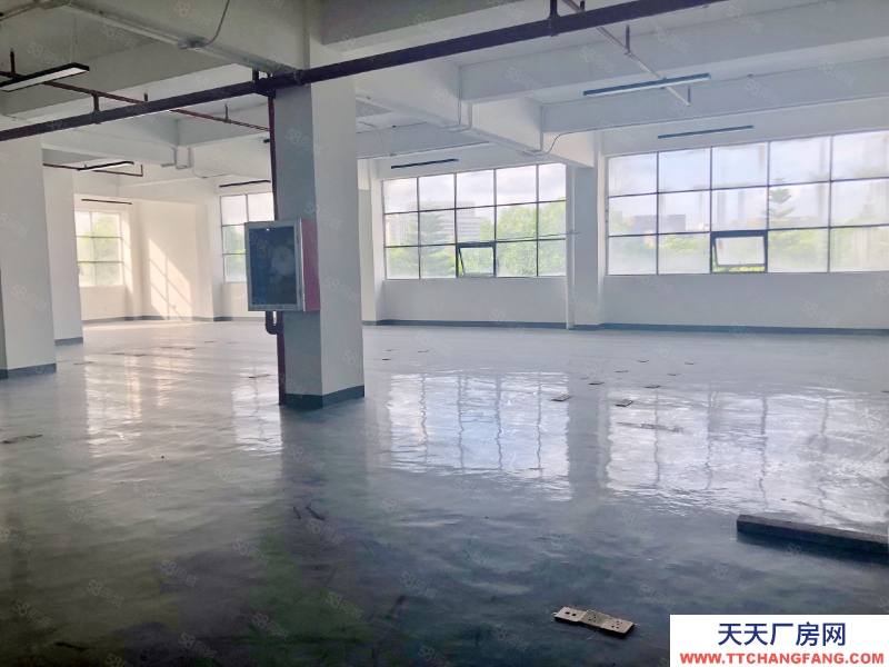 (出租) 深圳独门独院 整栋 3500平 南山西丽 地铁口 一手使用率