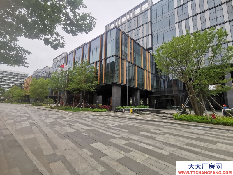 (出租) 深圳南山西丽地铁口高新产业研发办公1000平带豪华装修可分租低价