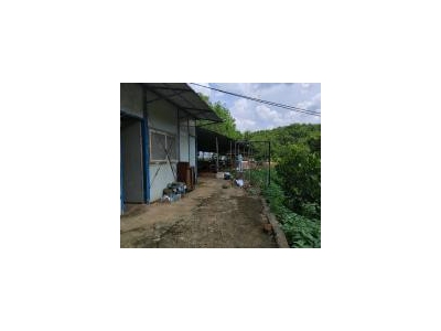(出租) 有水有电接手可经营，养猪养鸡都可以，有可能征用到图1