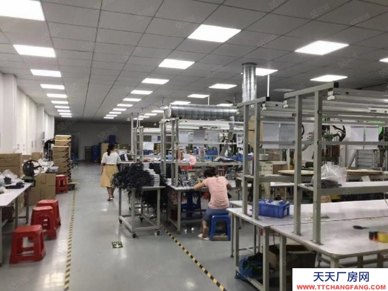 (出租) 深圳公明长圳厂房，出租1楼3300平精装厂房出租