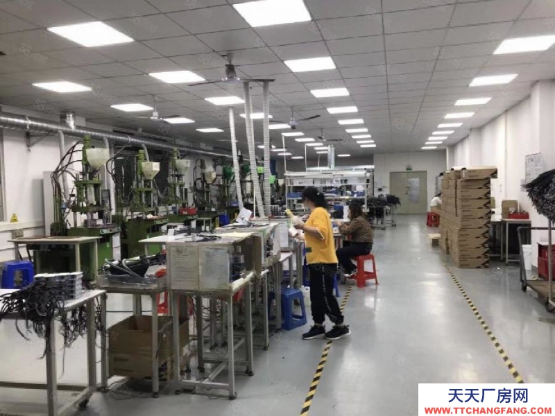 (出租) 深圳公明长圳厂房，出租1楼3300平精装厂房出租