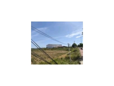 (出租) 厂房，地段，超大空间图3