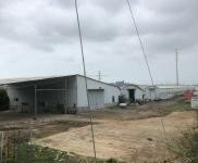 (出租) 新建房子，产证其全，交通便利，文罗互通下高速两百米就到。