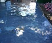 (出租) 陵水房东直租 与王伟希望小学一墙之隔