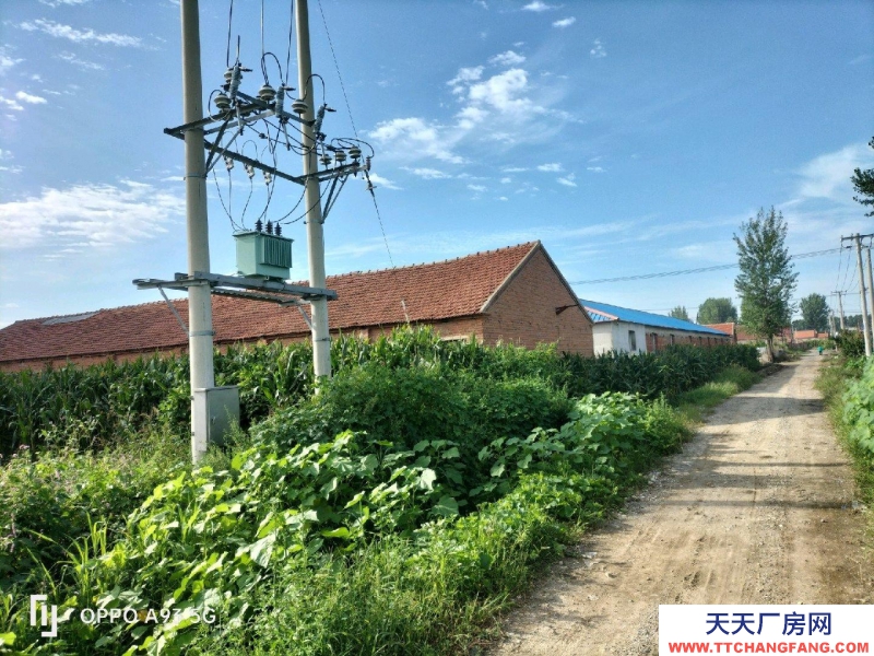 (出租) 鞍山海城市占地五亩地，房子800平，有80瓦千变压器可以办工器