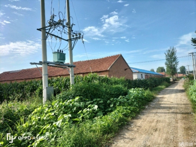 (出租) 鞍山海城市占地五亩地，房子800平，有80瓦千变压器可以办工器图1