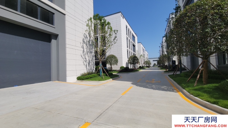 出租青白江全新高品质单层钢结构厂房 现房随时入驻