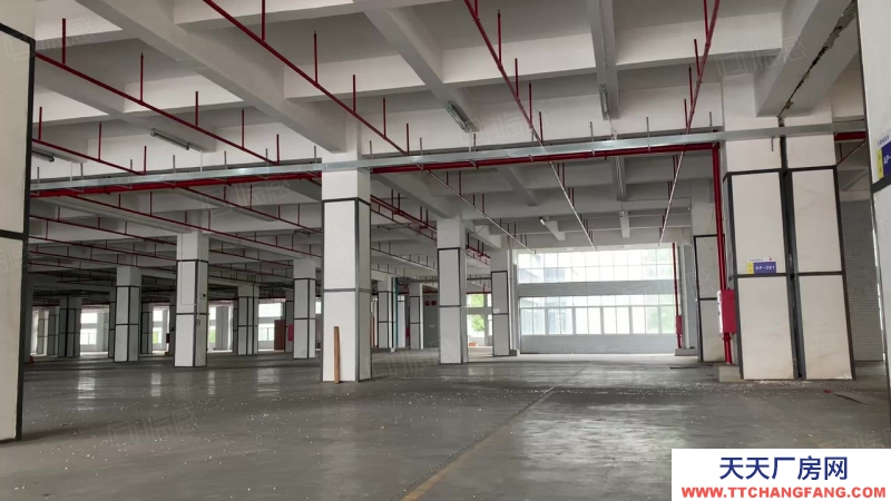(出租) 深北中心区物流仓储供应链仓库厂房低价出租 1000平起带货台