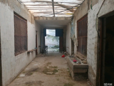 菏泽单县独门独院住宅，也可以当仓库图1