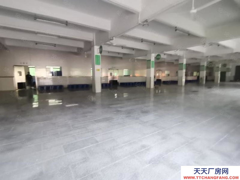 (出租) 深圳福田平湖白坭坑一楼1500平标准冷库冻库仓库厂房出租