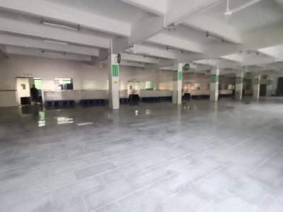 (出租) 深圳福田平湖白坭坑一楼1500平标准冷库冻库仓库厂房出租图2