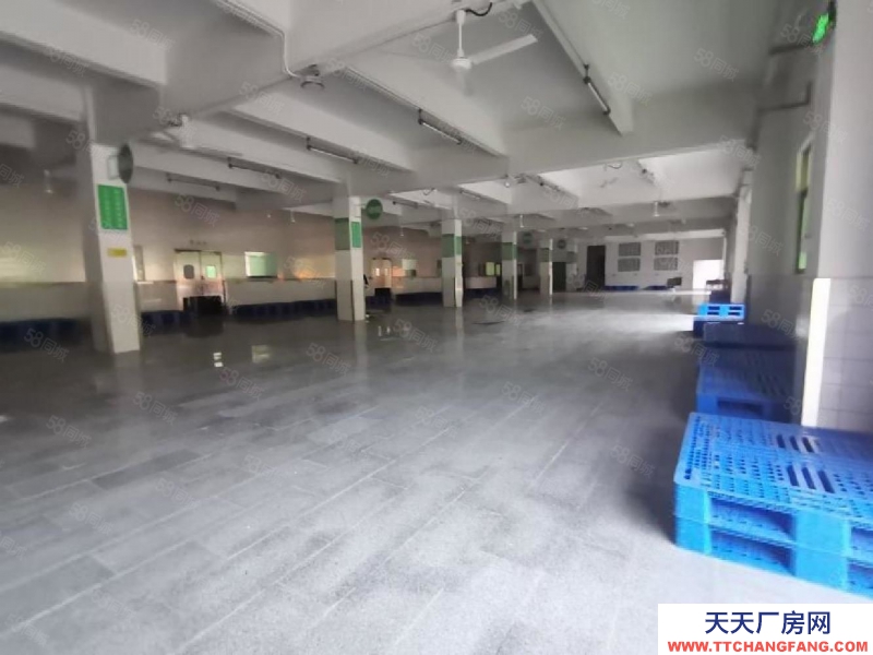 (出租) 深圳福田平湖白坭坑一楼1500平标准冷库冻库仓库厂房出租