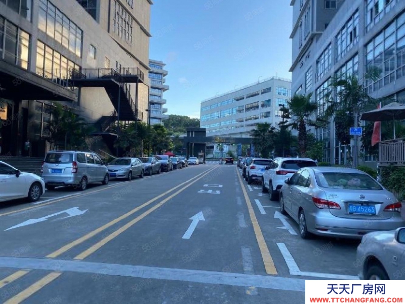 (出租) 深圳龙华大浪工业园1000平厂房出租精装修大型园区可补贴可分租
