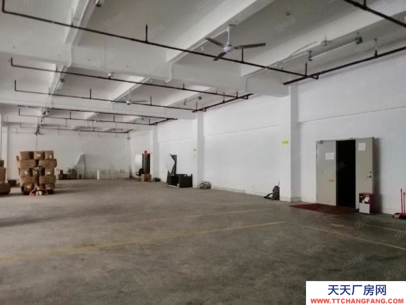 (出租) 深圳龙华大浪工业园1000平厂房出租精装修大型园区可补贴可分租