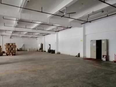(出租) 深圳龙华大浪工业园1000平厂房出租精装修大型园区可补贴可分租图4