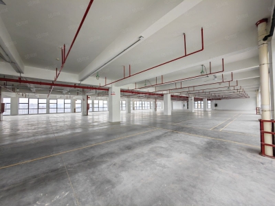 (出租) 深圳700平起租 坪地高新产业园楼上精装修厂房整层3000平出租图1