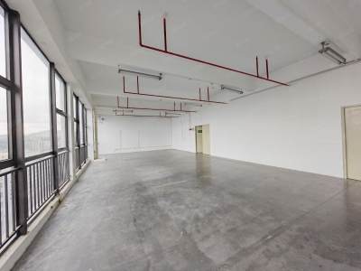 (出租) 深圳700平起租 坪地高新产业园楼上精装修厂房整层3000平出租图4