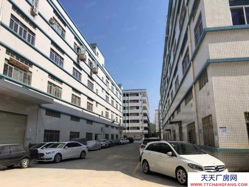 (出租) 深圳免费行车！龙东大型科技园新出一楼1500平方，合同5年