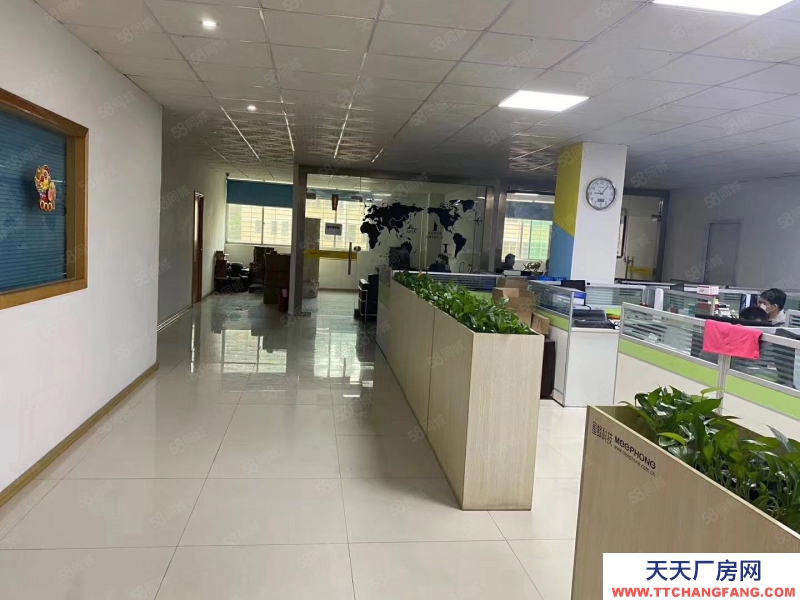 (出租) 深圳龙岗新生社区原房东红本5000平厂房出租带装修超高使用