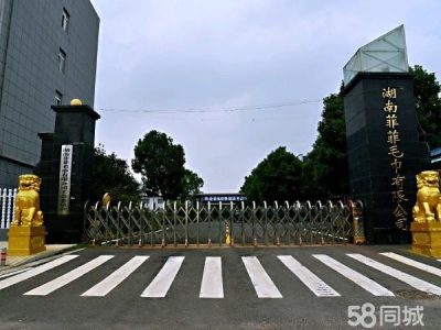 岳阳市湘阴区 厂房直租，免物业保险费！有持续厂房维护服务！图4