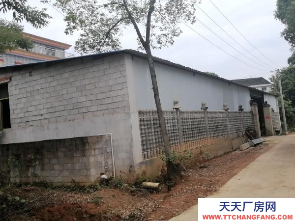 岳阳市湘阴区 厂房位于金龙镇芙蓉大道旁，三相四线，自来水，网络一应俱全