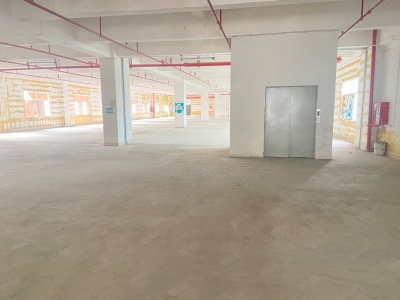 (出租) 坂田独院独栋2000平厂房出租 小独栋 可分租 低价仓库出租图4