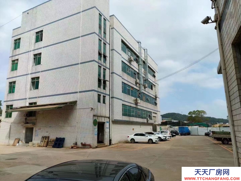 (出租) 深圳罗湖水贝工业区新出一二楼2250平米，精装修可分租