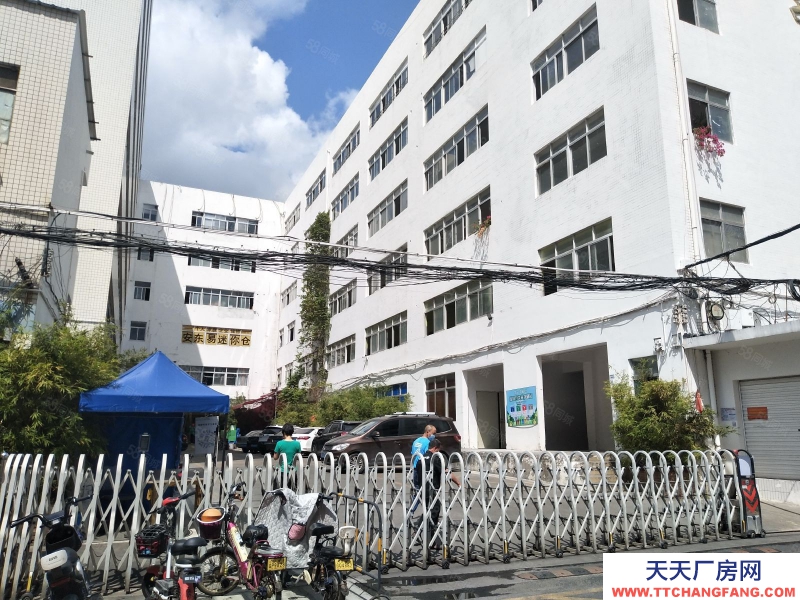(出租) 深圳清水河关口，一楼1100平楼1500平可分租