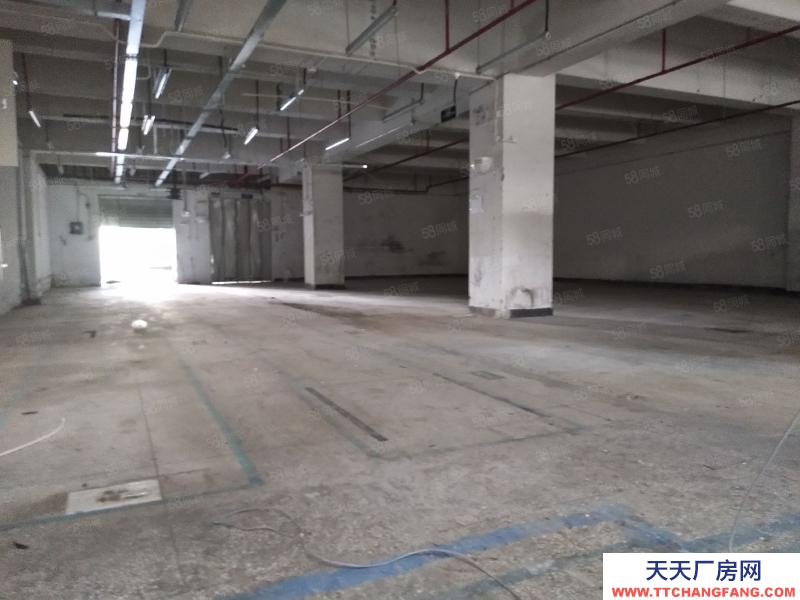 (出租) 深圳清水河关口，一楼1100平楼1500平可分租