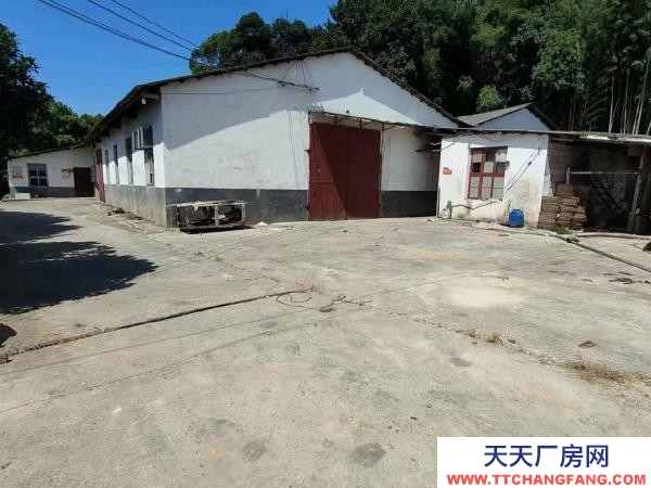 岳阳市湘阴区  厂房出租-仓库出租-办公出租