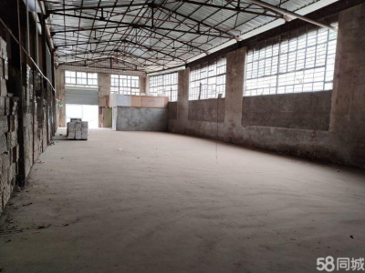 (出租) 深圳罗湖清水河420平厂房仓库方正使用率高高速口北环口直租图4