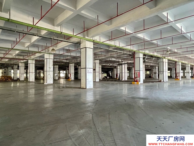 (出租) 深圳盐田独门独院4万平方厂房仓库出租，空地大，带货台,可分租