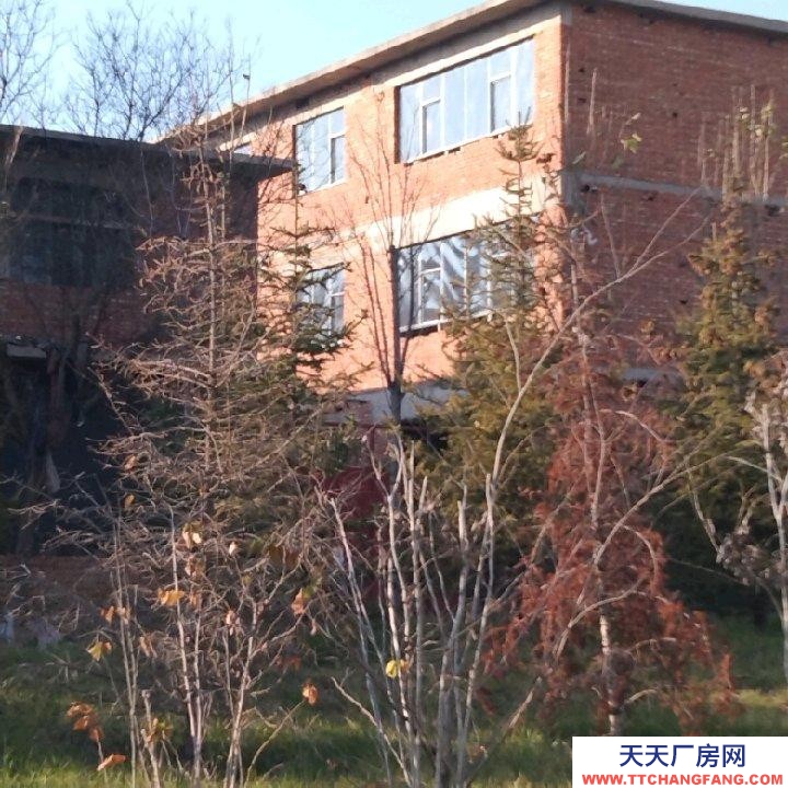 邯郸 武安市 (出租) 西苑大街西，交通方便