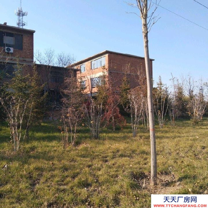 邯郸 武安市 (出租) 西苑大街西，交通方便