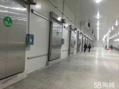 岳阳市湘阴区 出租湘阴新泉镇高标准冷库图1
