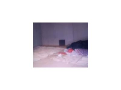 (出租) 车库，仓库，举架高4米多。图1