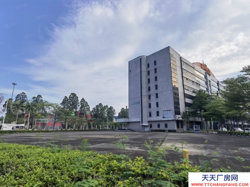 (出租) 深圳盐田保税区地铁旁新出独院红本厂房出租，大小可分空地超大形象佳