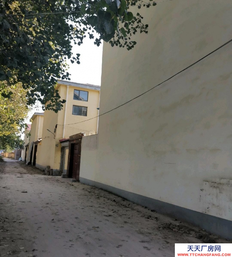 菏泽郓城可租可售，主体建筑面积456平方，不含院子和配房。