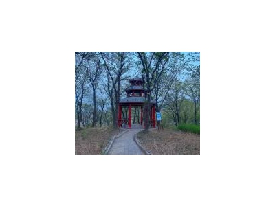 (出售) 乐山镇西行3公里路好走了图2