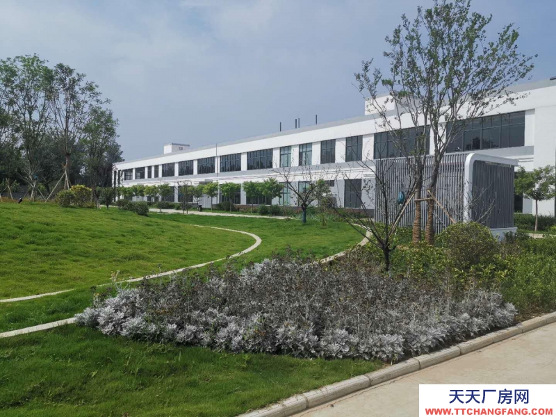 菏泽鄄城带地坪漆标准框架厂房出租，欢迎生产型企业入驻