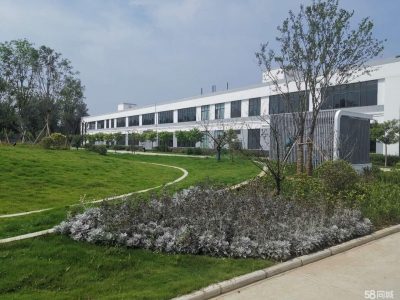 菏泽鄄城带地坪漆标准框架厂房出租，欢迎生产型企业入驻图1