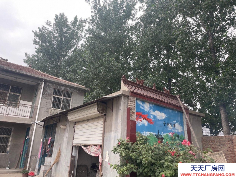 菏泽鄄城交通便利，大面积独院