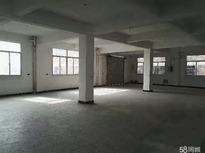 菏泽东明可做仓库，厂房多用途图1