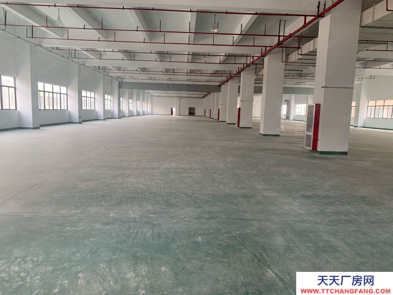 嘉兴平湖(出租) 出租平湖钟逮开发区二楼厂房1800有货梯交通便利