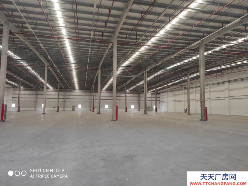 嘉兴平湖(出租) 12万平方高标仓库出租，单边，双边，单层双层坡道库都有可分租
