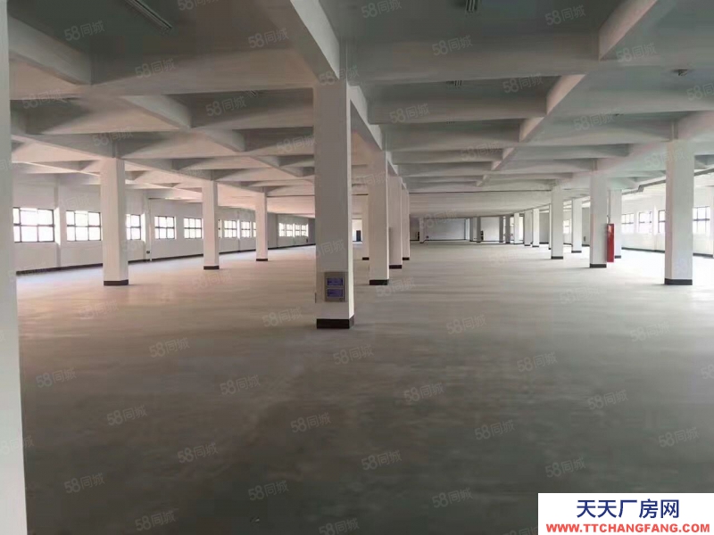 嘉兴平湖(出租) 服装城服装展厅直播间300平500平800平出租