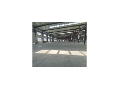 (出租) 大岭独门独院11000平厂房出租图1