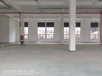 嘉兴平湖(出售) 出售嘉兴平湖工业区占地23亩，标准厂房面积29000方图1
